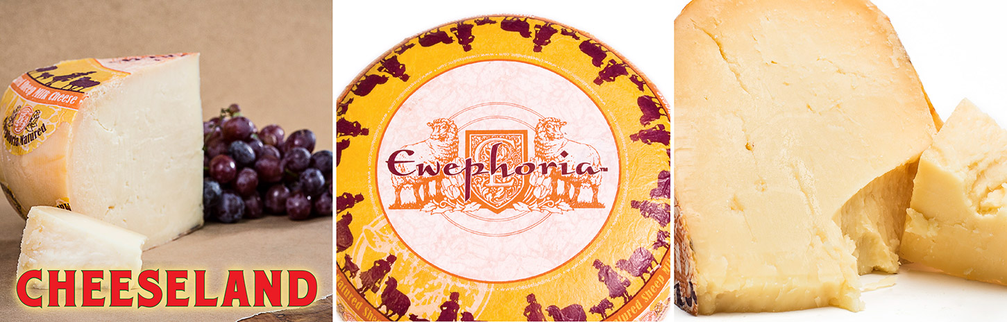 Ewephoria® Matured Sheepmilk Cheese