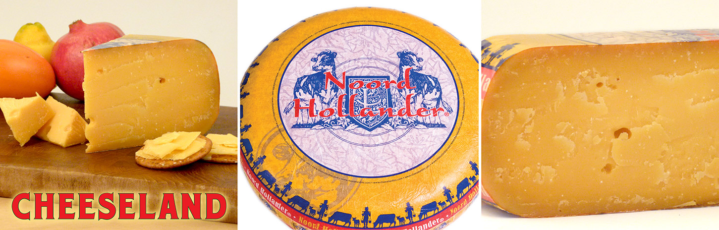 Cheeseland Inc. | Noord Hollander | Aged Gouda